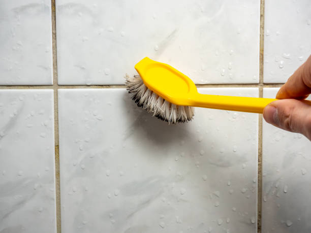 Best Preventive Mold Services in Hastings On Hudson, NY